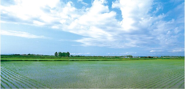 ふきの塔 から壮大に広がる田園風景を見よう 北海道南幌町 さとふる公式 ふるさと納税ブログ