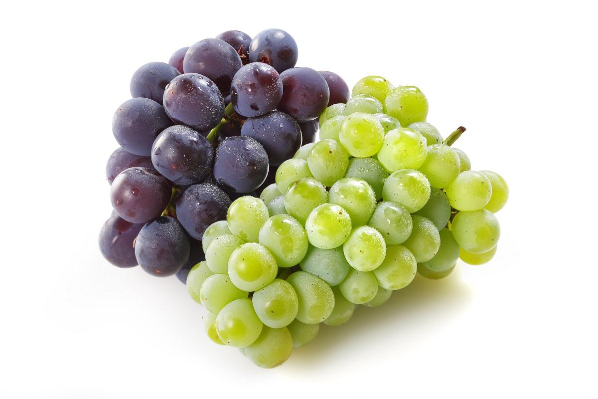 1200_Fotolia_90657945_Subscription_Monthly_XXL.jpg