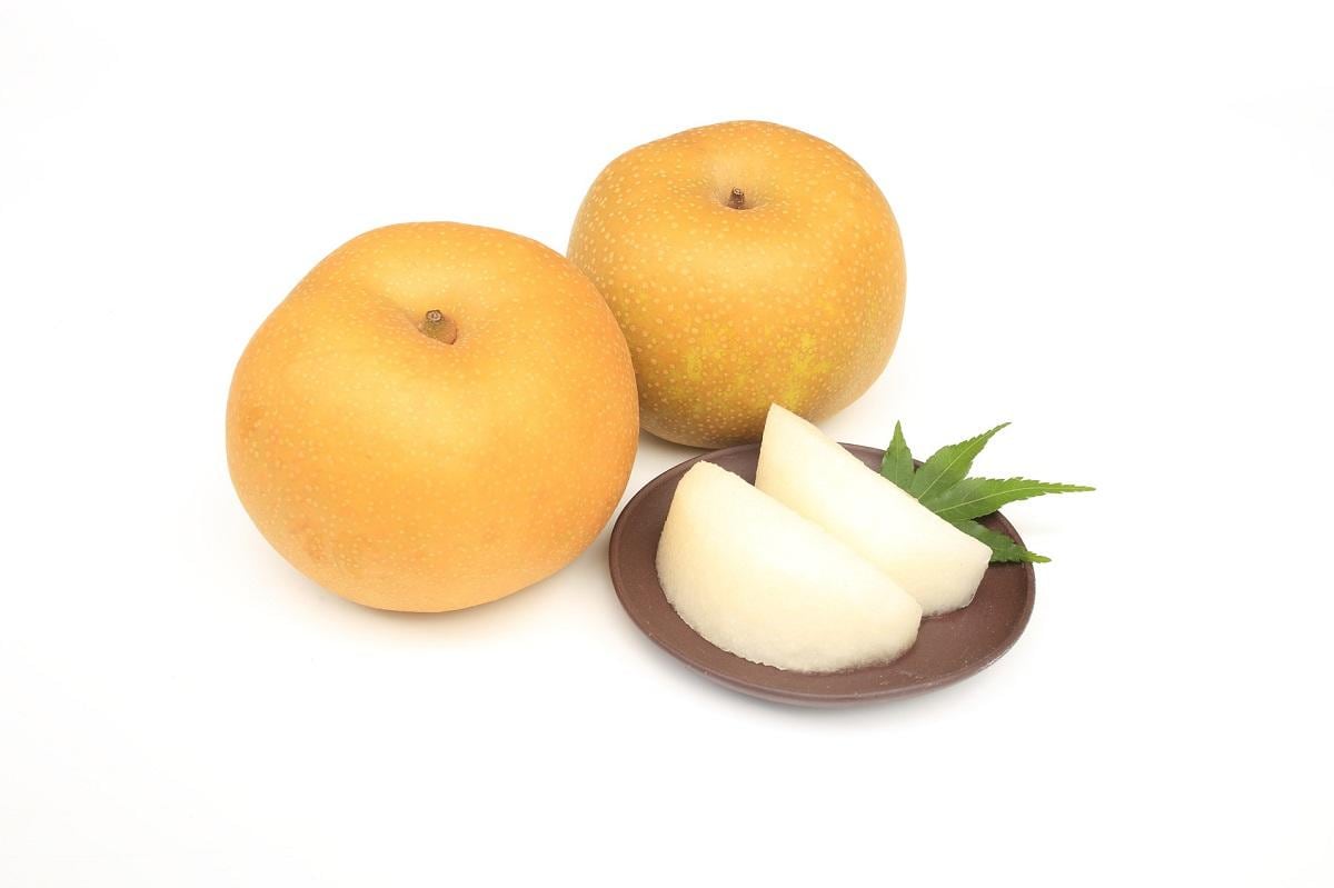 1200_Fotolia_91330027_Subscription_Monthly_M.jpg