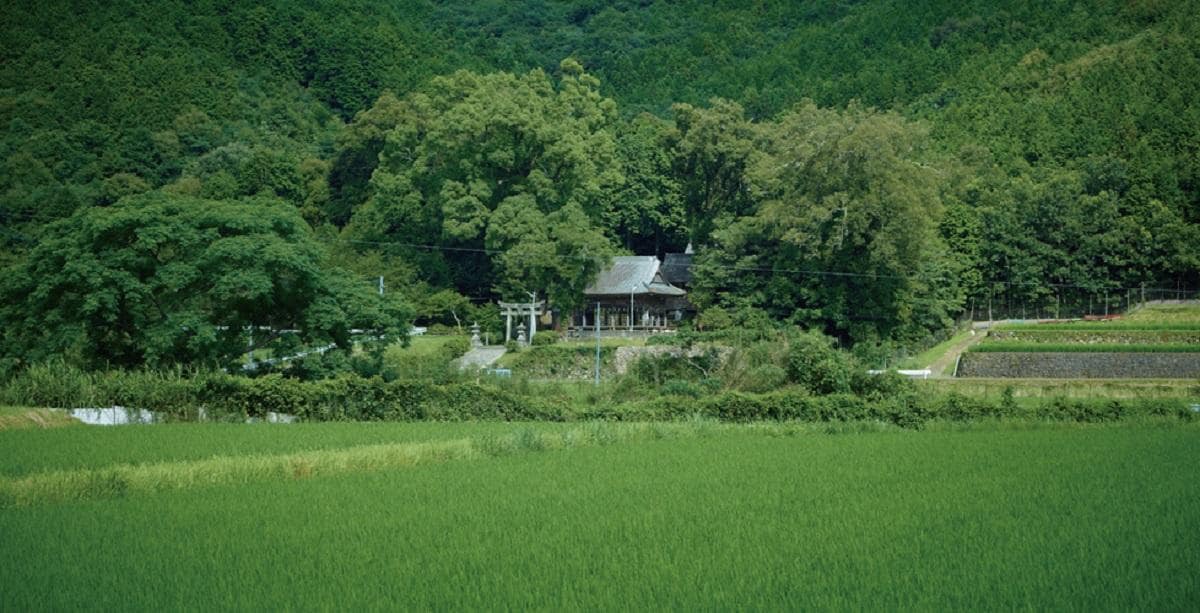 1200_hukei.jpg