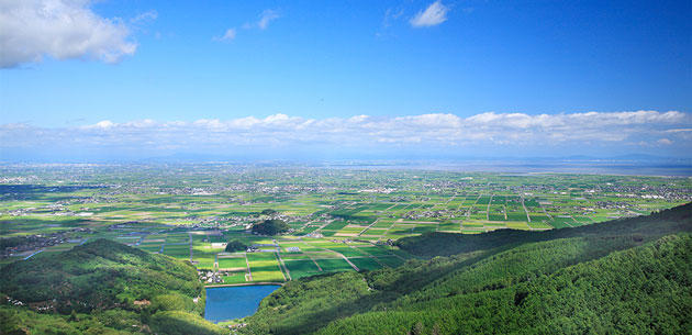 FV_佐賀県白石町.jpg