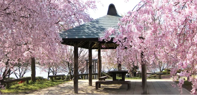 FV_茨城県五霞町.PNG
