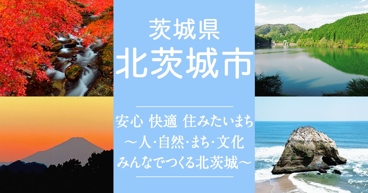 sns.png