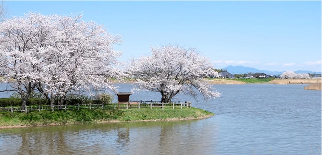 FV_茨城県取手市.PNG