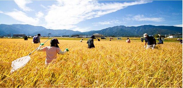 FV_長野県南箕輪村.PNG