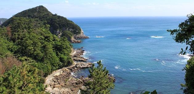 FV_静岡県下田市.jpg