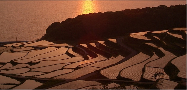 FV_長崎県松浦市.PNG