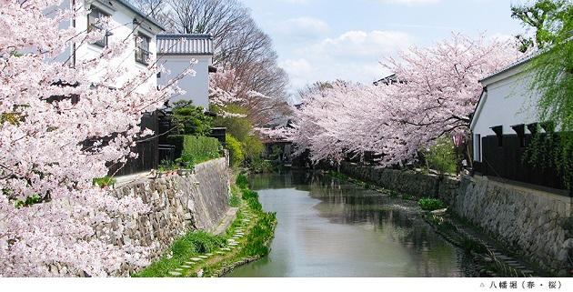 FV_滋賀県近江八幡市.jpg