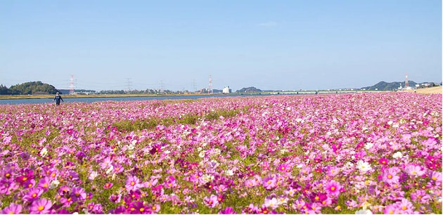 FV_福岡県水巻町.PNG