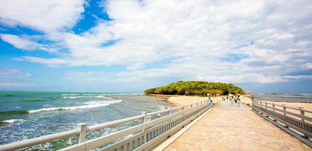 FV_宮崎県宮崎市.jpg