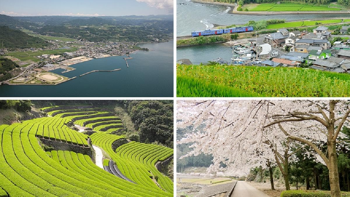 東彼杵_1200_album.jpg