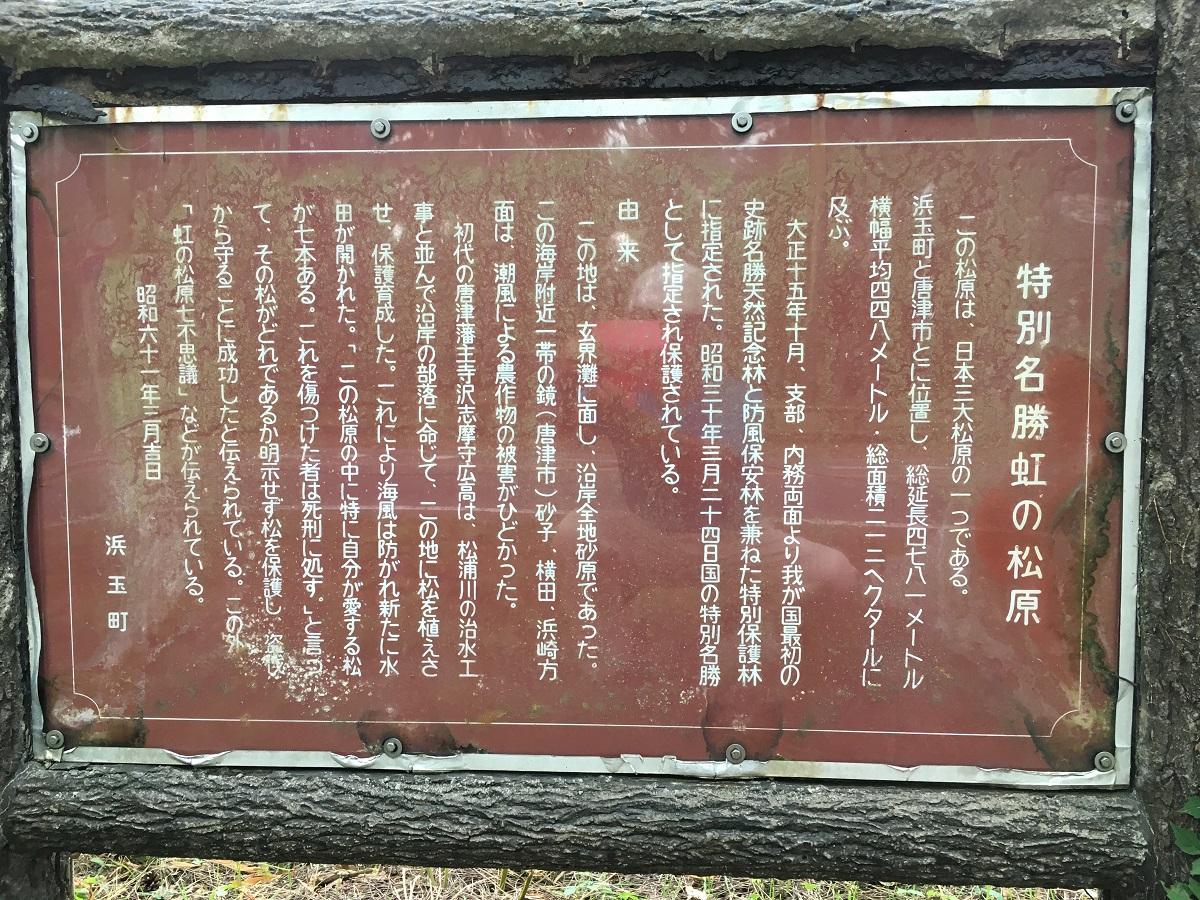 虹ノ松原 (1200).jpg