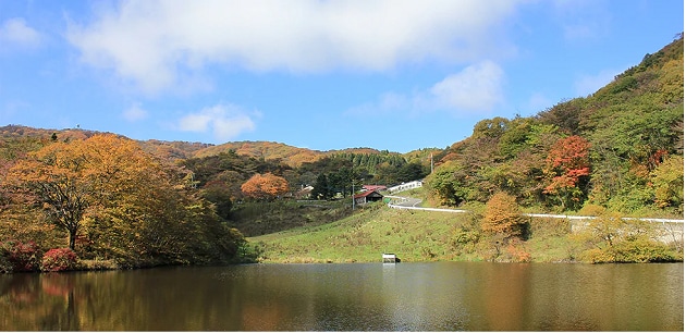 別名 殿様ネギ 太くて短いネギが有名です 群馬県下仁田町 さとふる公式 ふるさと納税ブログ