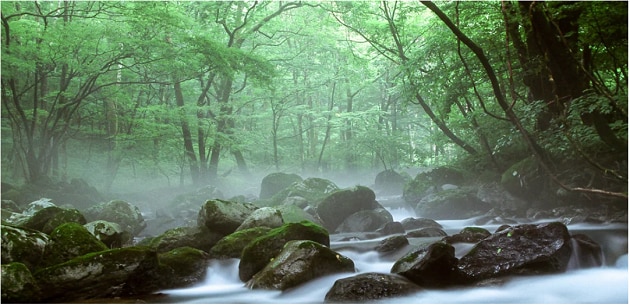 FV_栃木県塩谷町.PNG