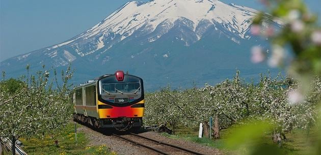 FV_青森県藤崎町.jpg