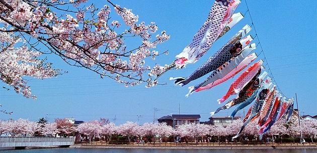 FV_千葉県旭市.jpg