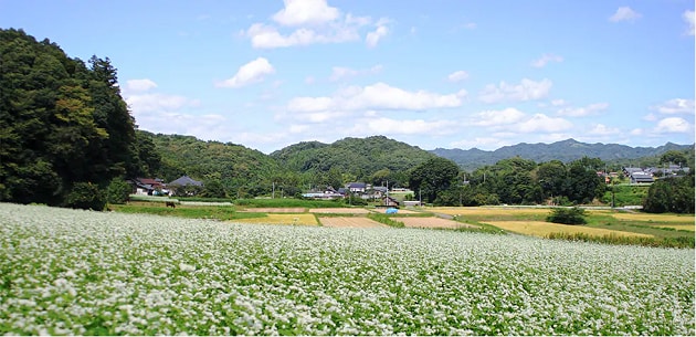 FV_茨城県常陸太田市.PNG