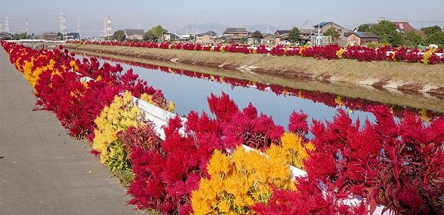 FV_福岡県大木町.jpg