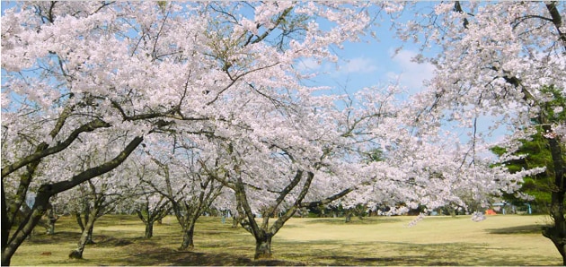 FV_青森県五戸町.PNG