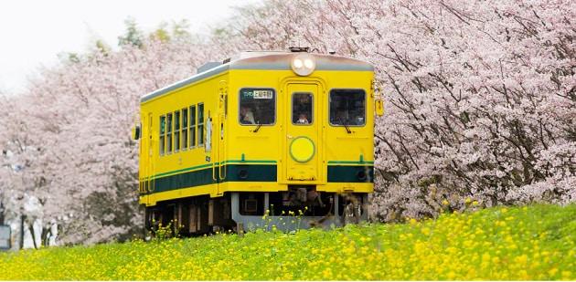 FV_千葉県いすみ市.PNG