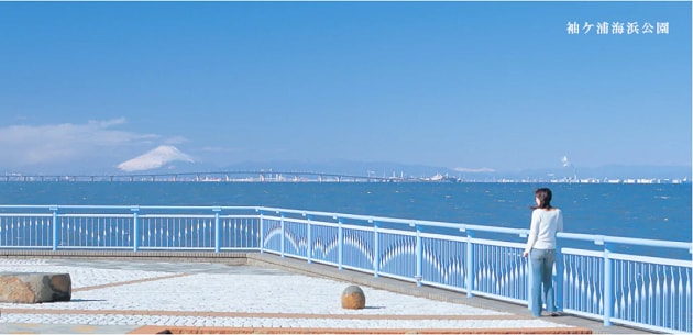FV_千葉県袖ケ浦市.PNG