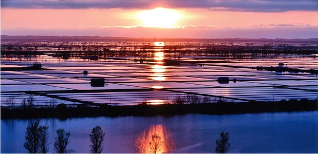 FV_秋田県大潟村.PNG