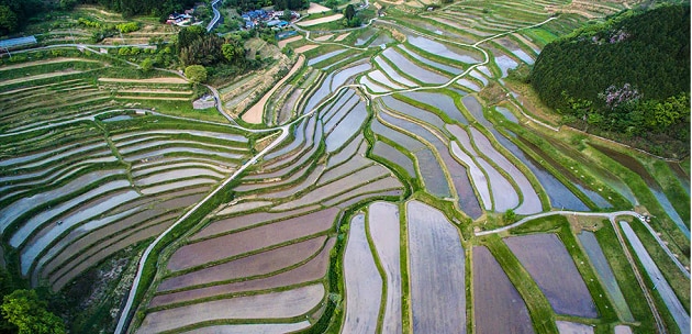 FV_岡山県美咲町.PNG