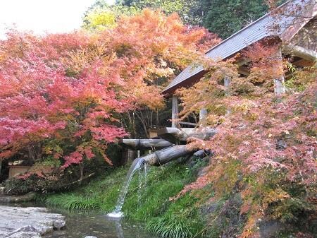 大川内山 紅葉2.JPG