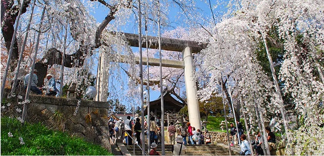 FV_山形県南陽市.PNG