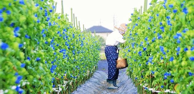 FV_滋賀県草津市.jpg