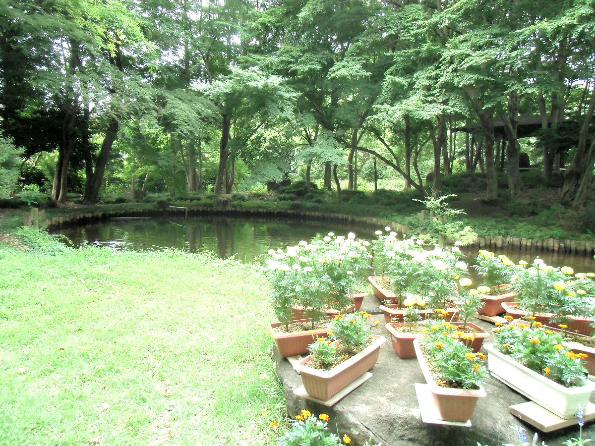 CIMG0938.jpg