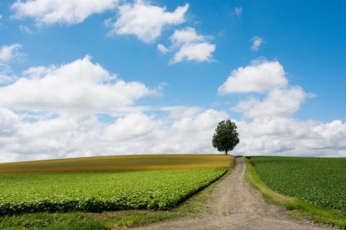Fotolia_116285389_Subscription_Monthly_M_rs.jpg