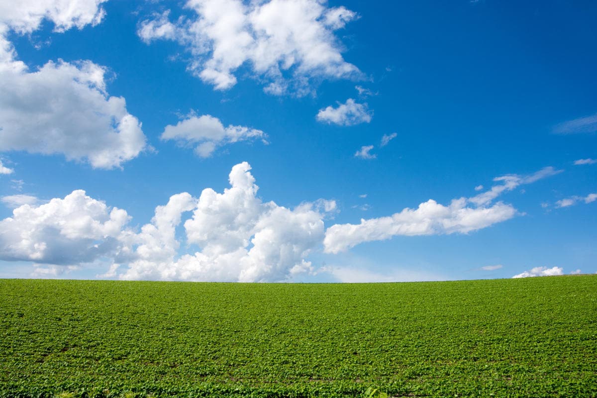 Fotolia_88860746_Subscription_Monthly_M_rs.jpg