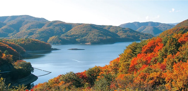 FV_福島県天栄村.PNG