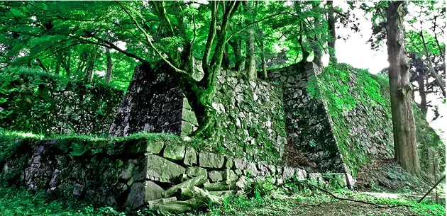 FV_奈良県高取町.PNG