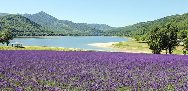 FV_北海道南富良野町.jpg