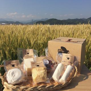 佐賀県