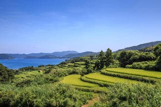 基礎知識