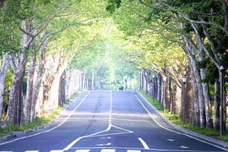 基礎知識