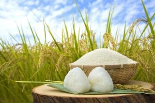 ふるさと納税制度