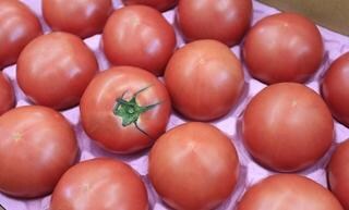 野菜