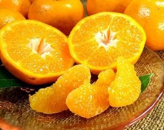 果物・フルーツ