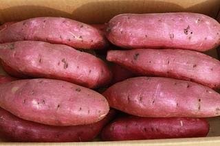 野菜