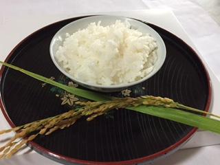 米・パン