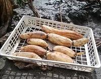 野菜