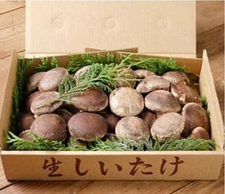 野菜