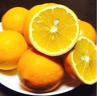果物・フルーツ