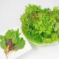 野菜