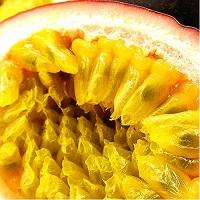 果物・フルーツ