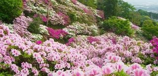 福岡県